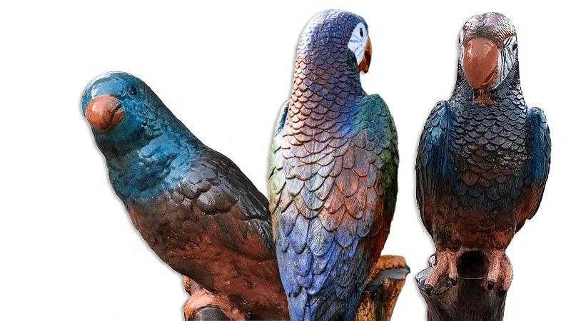 Papugi betonowe