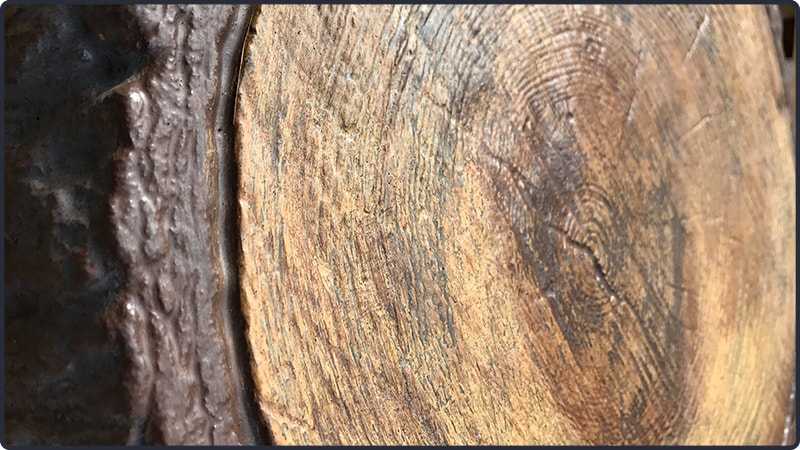 Imitacja Drewna na ścieżki Pnie Zdjęcie